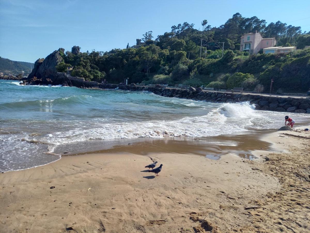 Villa Malibu Mandelieu Zewnętrze zdjęcie